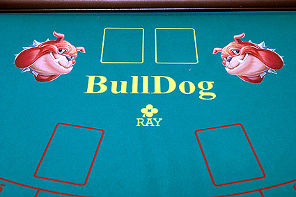 RAY Bulldog